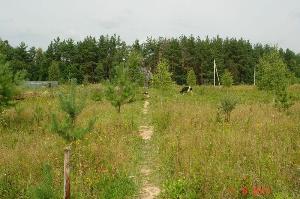 Продаю землю сельхозназначения в Калужской области Город Мосальск